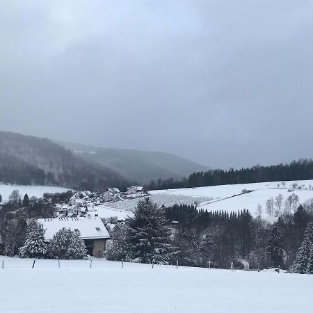 Appartement Familie Willems Winterberg 2 Esterno foto