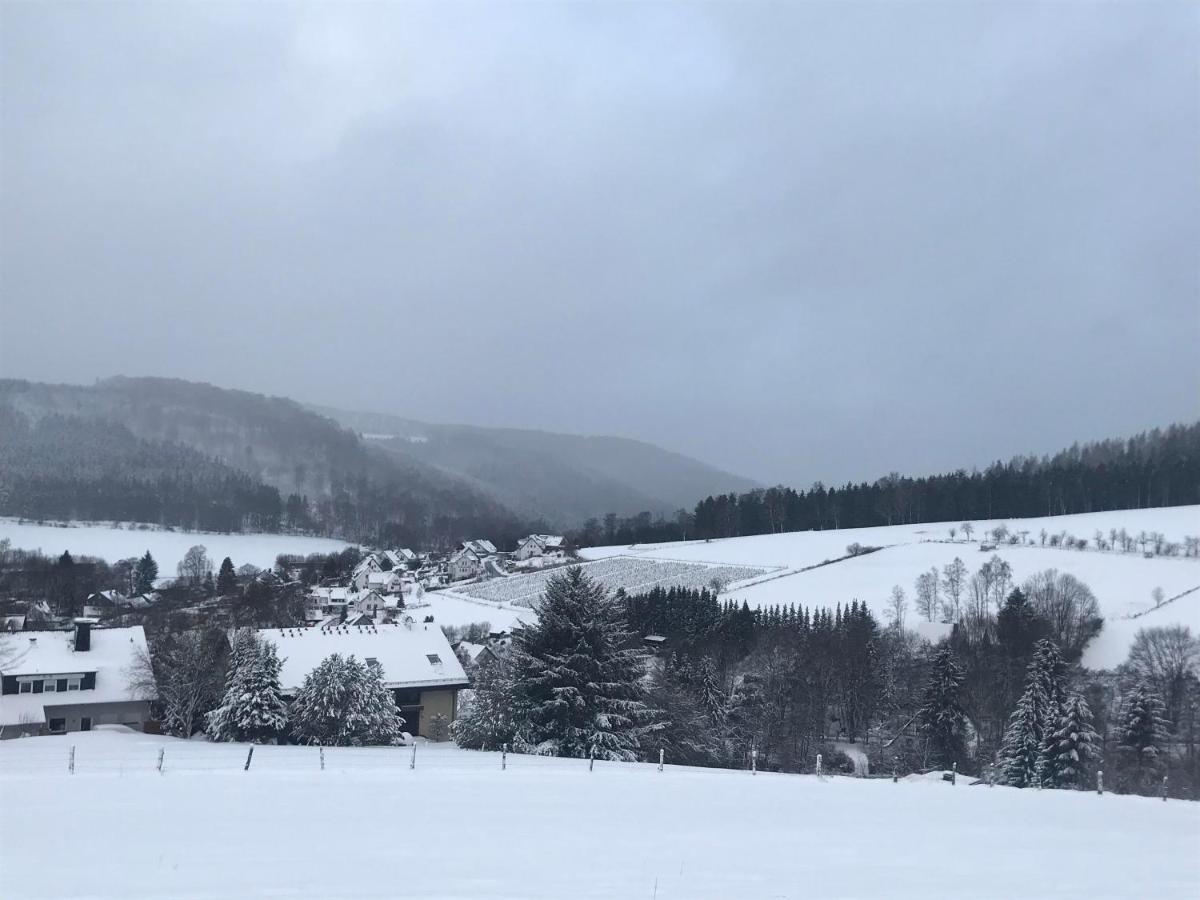 Appartement Familie Willems Winterberg 2 Esterno foto