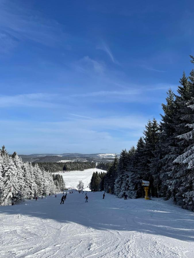 Appartement Familie Willems Winterberg 2 Esterno foto